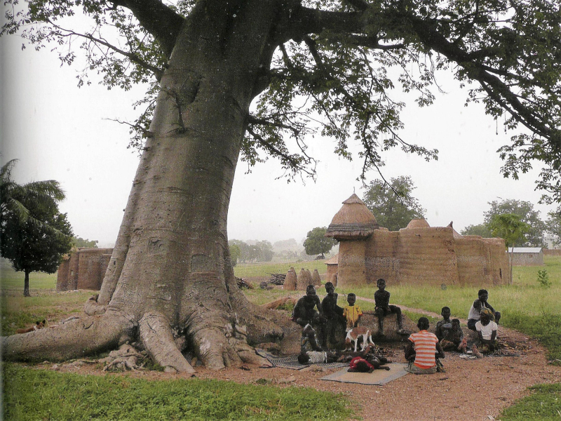 L’Afrique, continent précurseur de l&rsquo;écologie intégrale, une vision globale des enjeux environnementaux
